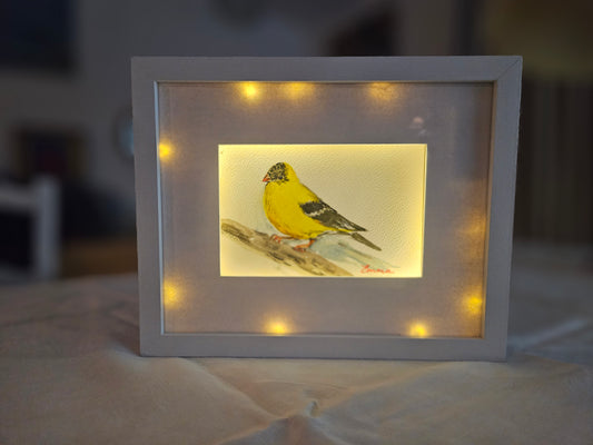 Peinture Oiseau Encadrement lumineux